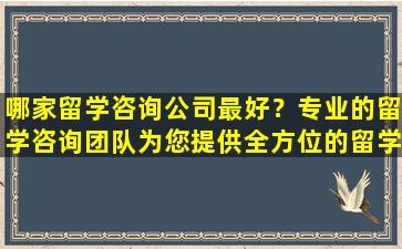 哪家留学咨询公司最好？专业的留学咨询团队为您提供全方位的留学咨询服务