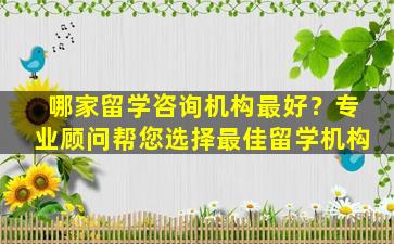 哪家留学咨询机构最好？专业顾问帮您选择最佳留学机构