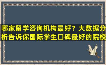 哪家留学咨询机构最好？大数据分析告诉你国际学生口碑最好的院校