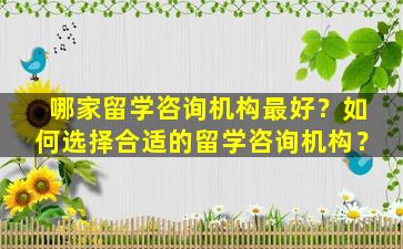 哪家留学咨询机构最好？如何选择合适的留学咨询机构？