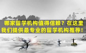 哪家留学机构值得信赖？在这里我们提供最专业的留学机构推荐！