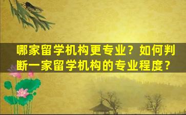 哪家留学机构更专业？如何判断一家留学机构的专业程度？