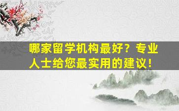 哪家留学机构最好？专业人士给您最实用的建议！