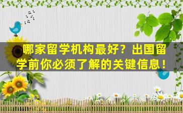 哪家留学机构最好？出国留学前你必须了解的关键信息！