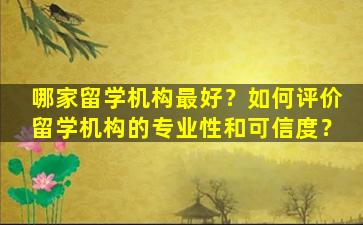 哪家留学机构最好？如何评价留学机构的专业性和可信度？