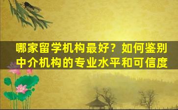 哪家留学机构最好？如何鉴别中介机构的专业水平和可信度