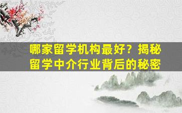 哪家留学机构最好？揭秘留学中介行业背后的秘密