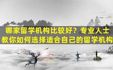 哪家留学机构比较好？专业人士教你如何选择适合自己的留学机构