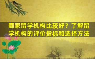 哪家留学机构比较好？了解留学机构的评价指标和选择方法