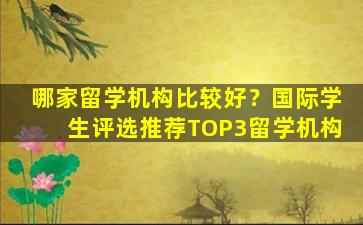 哪家留学机构比较好？国际学生评选推荐TOP3留学机构