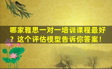 哪家雅思一对一培训课程最好？这个评估模型告诉你答案！