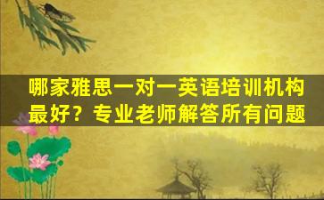 哪家雅思一对一英语培训机构最好？专业老师解答所有问题