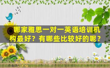 哪家雅思一对一英语培训机构最好？有哪些比较好的呢？