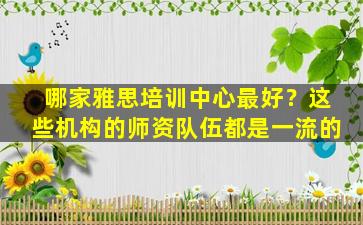 哪家雅思培训中心最好？这些机构的师资队伍都是一流的