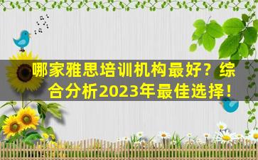 哪家雅思培训机构最好？综合分析2023年最佳选择！