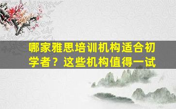 哪家雅思培训机构适合初学者？这些机构值得一试