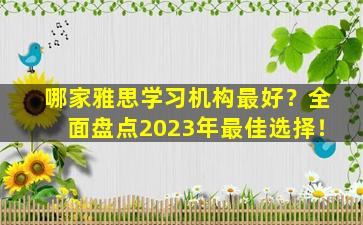 哪家雅思学习机构最好？全面盘点2023年最佳选择！