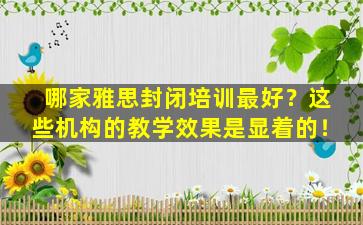 哪家雅思封闭培训最好？这些机构的教学效果是显着的！