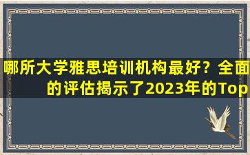 哪所大学雅思培训机构最好？全面的评估揭示了2023年的Top5！