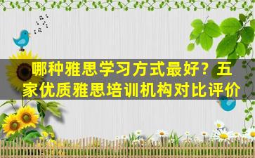 哪种雅思学习方式最好？五家优质雅思培训机构对比评价