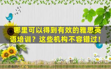 哪里可以得到有效的雅思英语培训？这些机构不容错过！