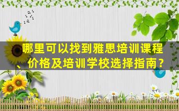 哪里可以找到雅思培训课程、价格及培训学校选择指南？