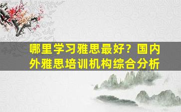 哪里学习雅思最好？国内外雅思培训机构综合分析