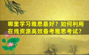 哪里学习雅思最好？如何利用在线资源高效备考雅思考试？