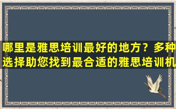 哪里是雅思培训最好的地方？多种选择助您找到最合适的雅思培训机构