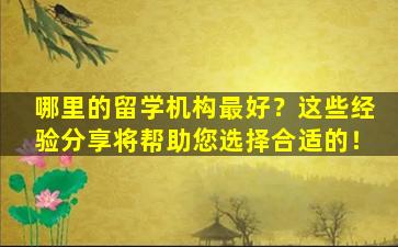 哪里的留学机构最好？这些经验分享将帮助您选择合适的！