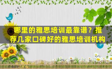 哪里的雅思培训最靠谱？推荐几家口碑好的雅思培训机构