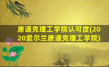 唐道克理工学院认可度(2020爱尔兰唐道克理工学院)