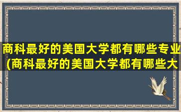 商科最好的美国大学都有哪些专业(商科最好的美国大学都有哪些大学)