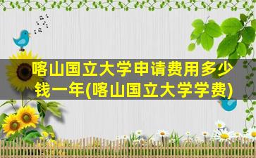 喀山国立大学申请费用多少钱一年(喀山国立大学学费)