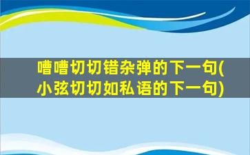 嘈嘈切切错杂弹的下一句(小弦切切如私语的下一句)