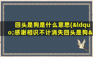 回头是狗是什么意思(“感谢相识不计消失回头是狗”，这句话是什么意思，女朋友给我的留言)