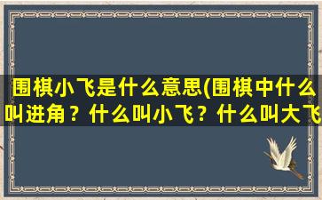 围棋小飞是什么意思(围棋中什么叫进角？什么叫小飞？什么叫大飞？)