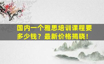 国内一个雅思培训课程要多少钱？最新价格揭晓！