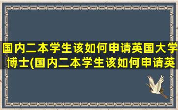 国内二本学生该如何申请英国大学博士(国内二本学生该如何申请英国大学硕士)