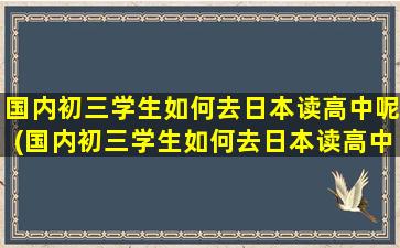 国内初三学生如何去日本读高中呢(国内初三学生如何去日本读高中呢女生)