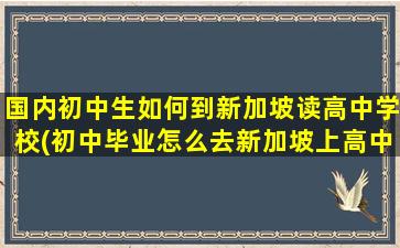 国内初中生如何到新加坡读高中学校(初中毕业怎么去新加坡上高中)