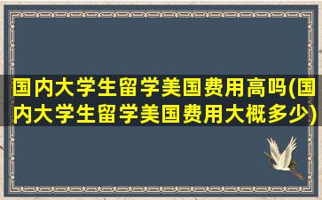 国内大学生留学美国费用高吗(国内大学生留学美国费用大概多少)