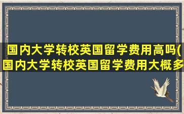 国内大学转校英国留学费用高吗(国内大学转校英国留学费用大概多少)