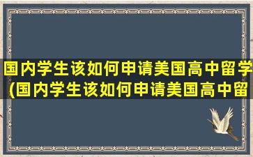 国内学生该如何申请美国高中留学(国内学生该如何申请美国高中留学条件)