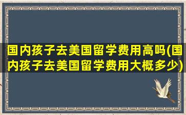 国内孩子去美国留学费用高吗(国内孩子去美国留学费用大概多少)