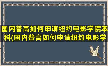 国内普高如何申请纽约电影学院本科(国内普高如何申请纽约电影学院本科生)