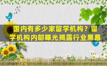 国内有多少家留学机构？留学机构内部曝光揭露行业黑幕