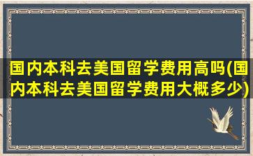 国内本科去美国留学费用高吗(国内本科去美国留学费用大概多少)