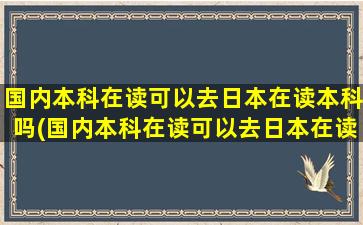 国内本科在读可以去日本在读本科吗(国内本科在读可以去日本在读本科吗英语)