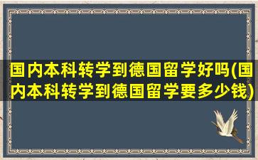 国内本科转学到德国留学好吗(国内本科转学到德国留学要多少钱)